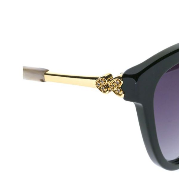 SOL PIERRE CARDIN MOD1646 - Imagen 2