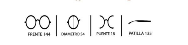 SOL PIERRE CARDIN MOD1646 - Imagen 4